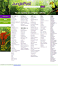Mobile Screenshot of junglepost.com